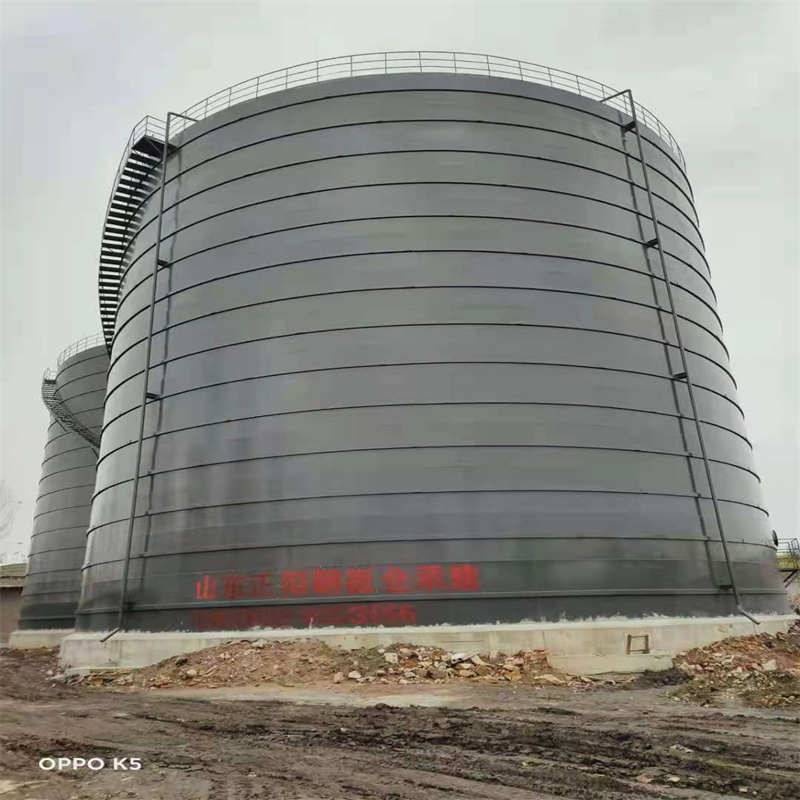 阜城3万吨大型钢板库