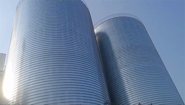 阜城2座混凝土高架卷板仓